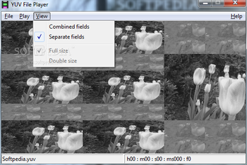 YUV File Player screenshot 3