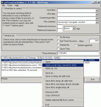 yvProxyCacheMan screenshot 2