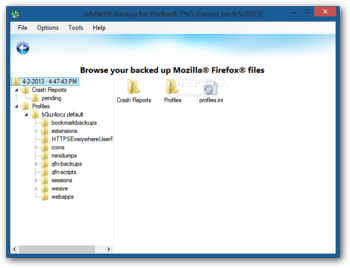 zebNet Backup for Firefox TNG screenshot 7