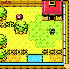 Zelda: Realm of Illusion screenshot 3