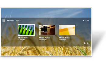 Zen Flash Gallery CS3 Component screenshot