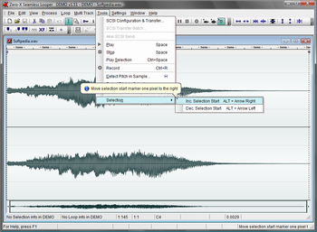 Zero-X Seamless Looper screenshot 3