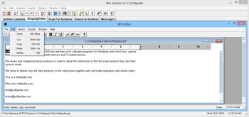 ZIP's Wiz screenshot 3