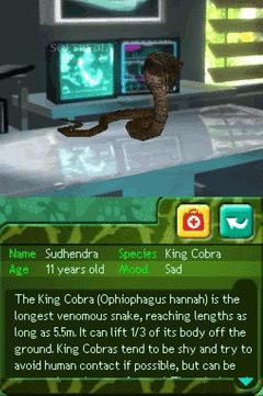 Zoo Hospital screenshot 3