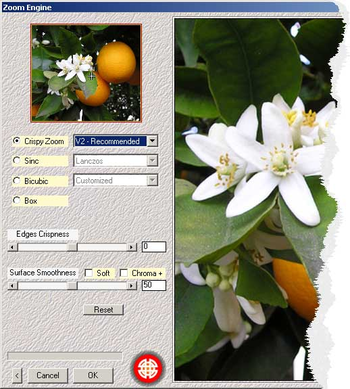 Zoom Engine screenshot