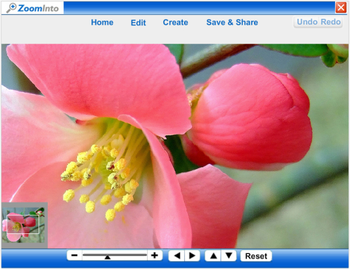 ZoomInto for Firefox screenshot