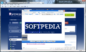 ZoomInto for IE screenshot 2