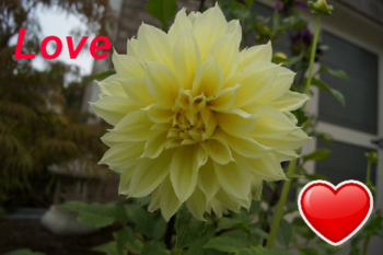 ZoomInto for Maxthon screenshot