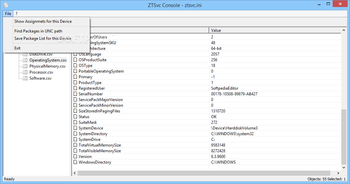 ZTSvc screenshot 2