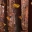 3D Butterflies in Autumn icon