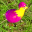 3D Easter Morn 3