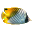 3D Fish School Screensaver 4.994