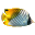 3D Fish School Screensaver icon