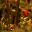 3D Rain Forest Adventure icon