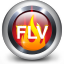 4Videosoft FLV to DVD Converter icon