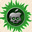Absinthe 2.0 windows icon