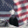 American Flag Theme 1