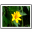 Applied Vision icon