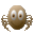 Arachnophilia icon