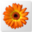 Artweaver icon