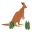 Australian Fauna Screensaver icon
