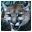 Big Cats Screensaver 3.1