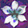 Blue Iris icon