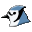 BlueJ 4.1