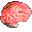 BrainTraineR 5