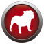 BullGuard Spamfilter icon