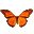 Butterfly On Desktop 1