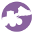 CapLoader icon