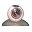 CC-CAM icon