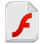 Check Flash Version icon