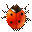 Coccinella 0.96