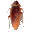 Cockroach on Desktop icon