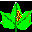 Compu Eye, Leaf & Symptom Area 1