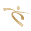 Crosstrainer icon