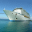 Cruise Ship Screensaver 1