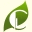 Cure Series Demo - Windows icon