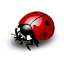 CuteFarm icon