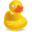 Cyberduck for Windows icon