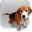 Dev Hound icon