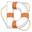 Digital Lifeboat icon