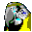 Digital Talking Parrot icon