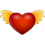 DNS Angel icon