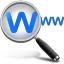 DNSS Domain Name Search Software icon