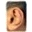 Dolce Ear Training icon