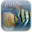 Dream Aquarium Screensaver 1.2591