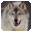 ElasticWolf icon